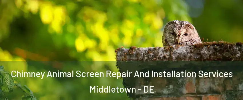  Chimney Animal Screen Repair And Installation Services Middletown - DE