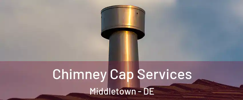  Chimney Cap Services Middletown - DE