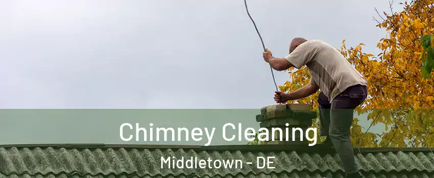  Chimney Cleaning Middletown - DE