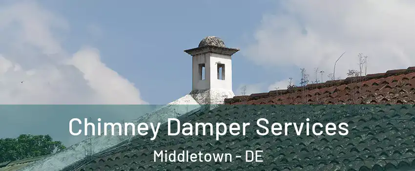  Chimney Damper Services Middletown - DE