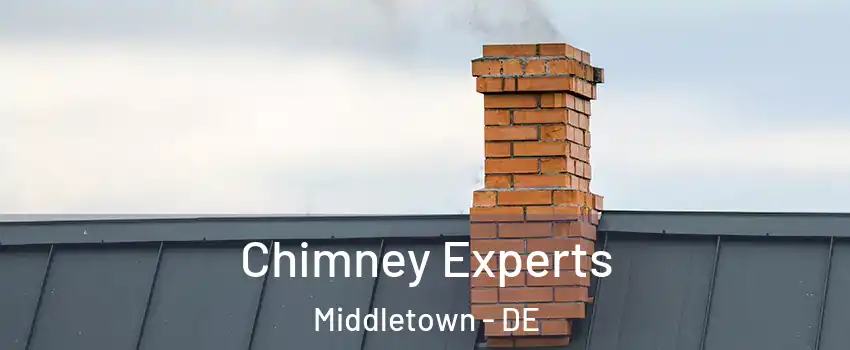  Chimney Experts Middletown - DE