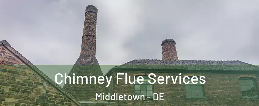  Chimney Flue Services Middletown - DE
