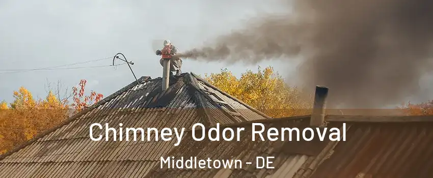  Chimney Odor Removal Middletown - DE