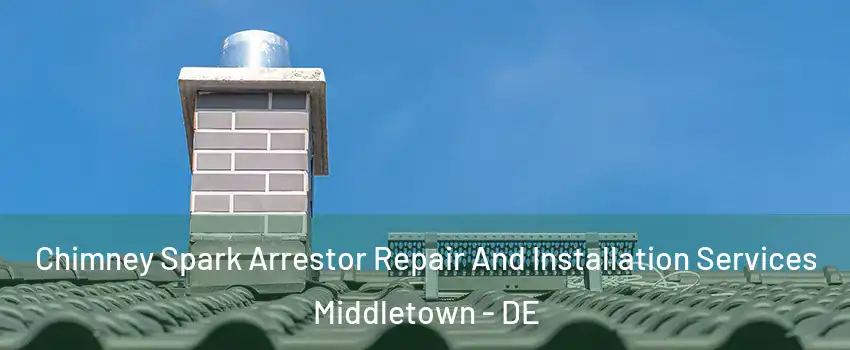  Chimney Spark Arrestor Repair And Installation Services Middletown - DE