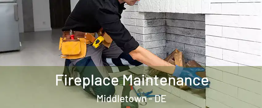  Fireplace Maintenance Middletown - DE