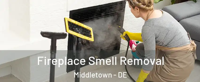  Fireplace Smell Removal Middletown - DE