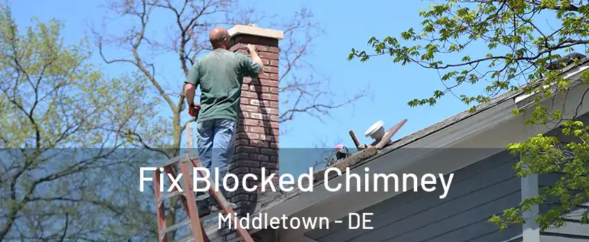  Fix Blocked Chimney Middletown - DE