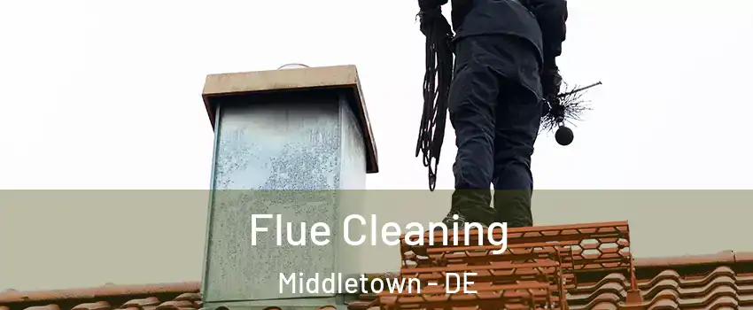  Flue Cleaning Middletown - DE