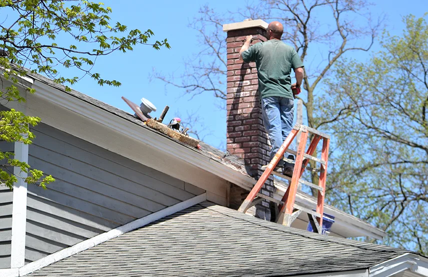 Chimney & Fireplace Inspections Services in Middletown, DE