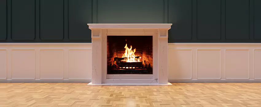 Napoleon Electric Fireplaces Inspection Service in Middletown, Delaware