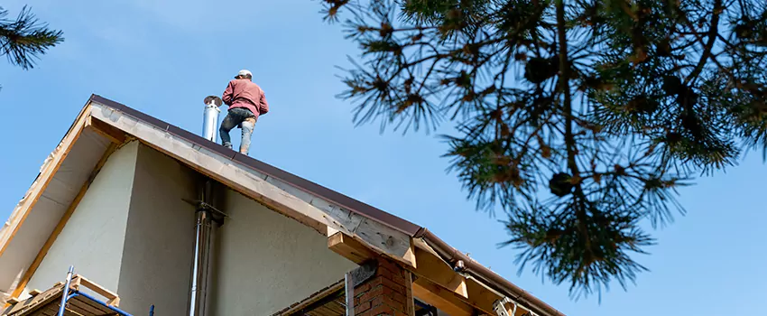 Birds Removal Contractors from Chimney in Middletown, DE