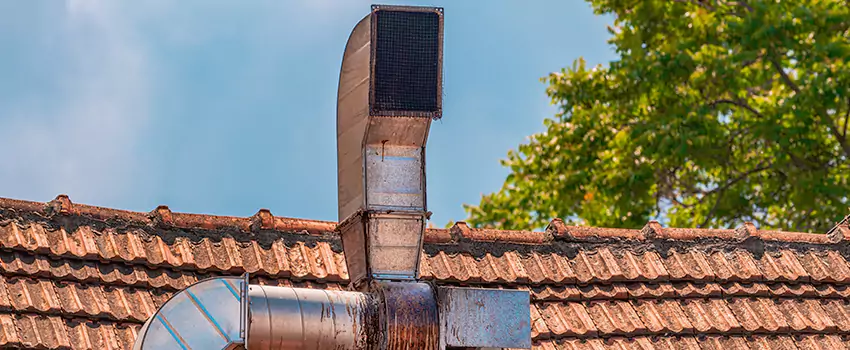 Chimney Blockage Removal in Middletown, Delaware