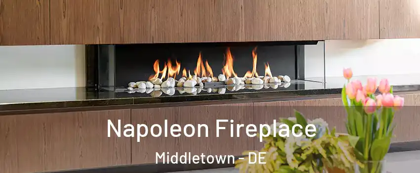  Napoleon Fireplace Middletown - DE
