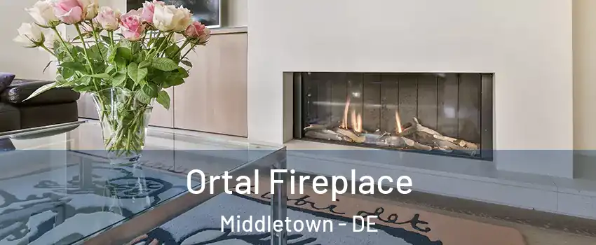  Ortal Fireplace Middletown - DE