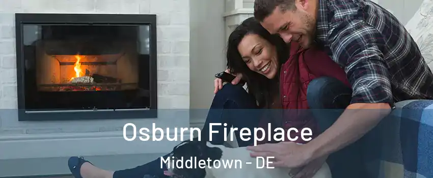  Osburn Fireplace Middletown - DE